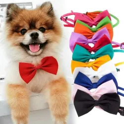 Dekorative Fliege - Halsband - für Hunde / Katzen - verstellbarer Riemen