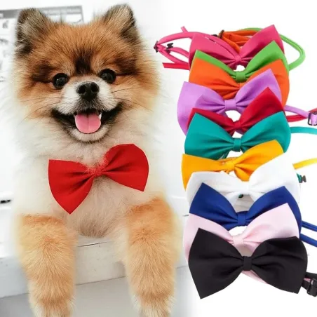 Noeud papillon décoratif - collier - pour chiens / chats - sangle réglable