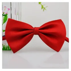Noeud papillon décoratif - collier - pour chiens / chats - sangle réglable