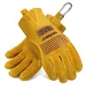 Seguridad & protecciónGuantes de seguridad / trabajo - extensibles - corte de madera / jardinería - cuero