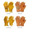 Gants de sécurité / travail - extensibles - coupe du bois / jardinage - cuir