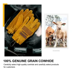 Gants de sécurité / travail - extensibles - coupe du bois / jardinage - cuir