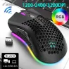 BM600 - souris gaming RGB sans fil - design nid d'abeille - rechargeable - USB - 2.4G