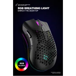 BM600 – kabellose RGB-Gaming-Maus – Wabendesign – wiederaufladbar – USB – 2,4 G