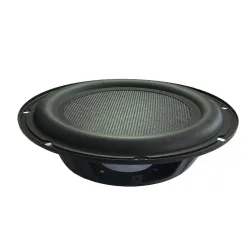 10" passiv basshøyttaler - med 257 mm ramme - radiatorhjelpemiddel