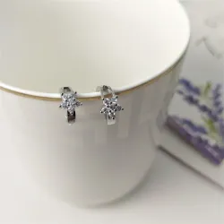 Flocon de cristal - petites boucles d'oreilles rondes en argent
