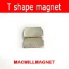 N50 - magnete al neodimio - forte blocco a forma di T - 10,5 mm * 5 mm * 5,8 mm
