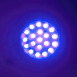 Ampoule de culture de plantes - 20 LED - lumière UV - E27 - 1W