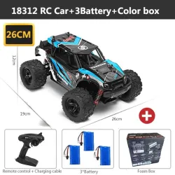 HS 18311/18312 1/18 35km/h 2.4G 4CH 4WD - haute vitesse - chenille grimpeur - voiture RC
