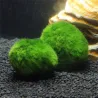 Aquarium mini moss ball - decorative nano plantDecorations