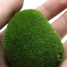 Mini boule de mousse pour aquarium - nano plante décorative