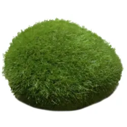Mini boule de mousse pour aquarium - nano plante décorative