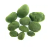 Aquarium mini moss ball - decorative nano plantDecorations