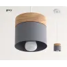Nordic style ceiling lamp - LED - E27Ceiling lights