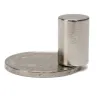 N35 - neodymmagnet - sterk rundpinne - 10mm * 15mm