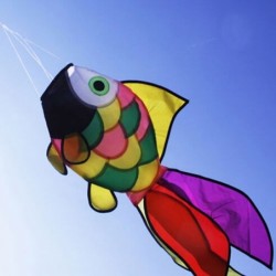 Peixe arco-íris - pipa
