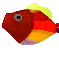 Regnbuefisk - drage