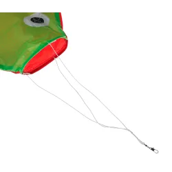 Poisson arc-en-ciel - cerf-volant