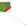 Regnbuefisk - drage