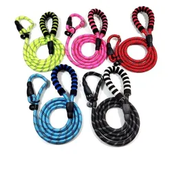 Hundeleine aus Nylon - verstellbares Halsband - reflektierend - gepolsterter Griff