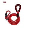 Hundeleine aus Nylon - verstellbares Halsband - reflektierend - gepolsterter Griff