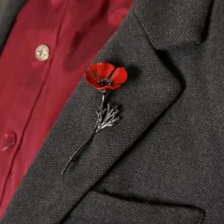 Röd fyrklöver - elegant brosch