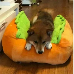 Calda cuccia per cane/gatto - morbido cuscino - hot dog