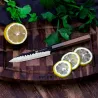 FINDKING - profesjonalne noże kuchenne - zestaw 4 sztukiStal