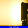 Lampadaire LED - étanche - 50W - 100W