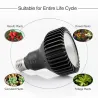LED-kasvien kasvuvalo - polttimo - täysi spektri - COB - E27