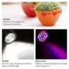 LED-kasvien kasvuvalo - polttimo - täysi spektri - COB - E27
