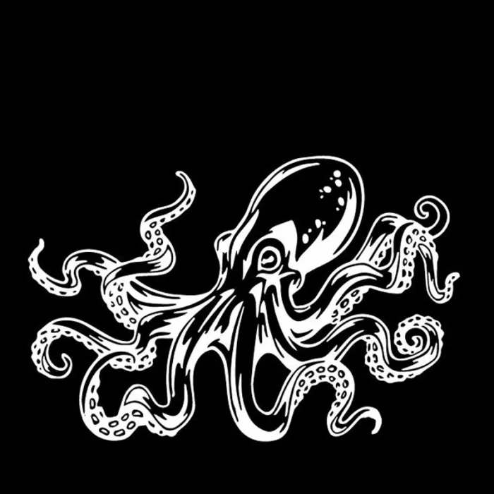 Autosticker - octopuspatroonStickers