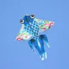Foldable kite - colorful beeKites