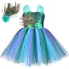 Fato de pavão - vestido com penas/flores