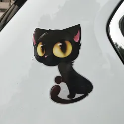 Isosilmäinen musta kissa - autotarra