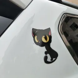 Isosilmäinen musta kissa - autotarra