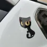 Isosilmäinen musta kissa - autotarra