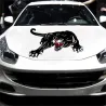 Black tiger - vinyl car stickerStickers
