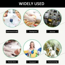 PielGuantes transparentes desechables - para uso alimentario / médico / quirúrgico - 100 piezas