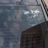 Vinyl autosticker - ogen / middelvingerStickers