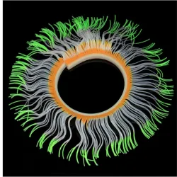 Aquariendekoration - leuchtende Seeanemone aus Silikon