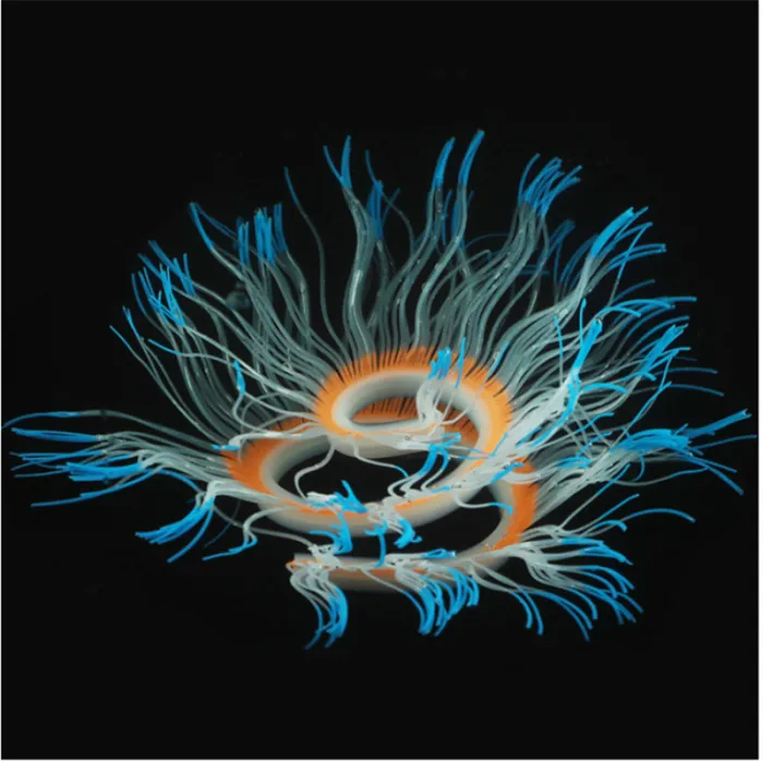 Décoration aquarium - anémone de mer lumineuse en silicone