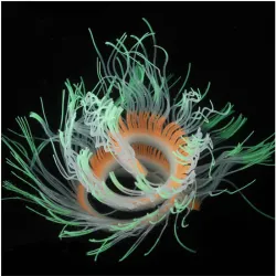 Aquariendekoration - leuchtende Seeanemone aus Silikon