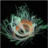 Aquariendekoration - leuchtende Seeanemone aus Silikon