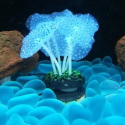 Anêmona do mar luminosa - decoração de aquário