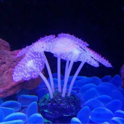 Lysende sjøanemone - akvarium dekorasjon