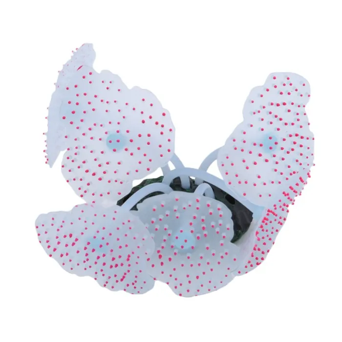 Leuchtende Seeanemone - Aquariendekoration