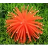 Décoration lumineuse pour aquarium - corail en silicone