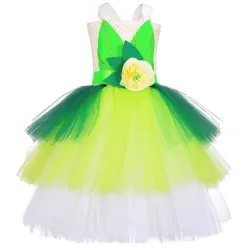 Costume de fée - robe verte - avec ailes