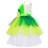 Costume de fée - robe verte - avec ailes